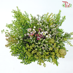 Safari Cape Cone Mix Bouquet - #23 (Per Bunch) **Random Choose Cone/Fillers-Africa-prflorist.com.my