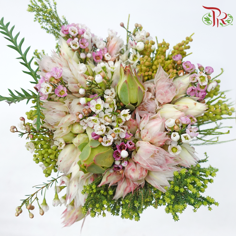 Safari Cape Cone Wax With Blushing Bride - (Per Bunch) **Random Choose Cone/Fillers-Pink-Africa-prflorist.com.my