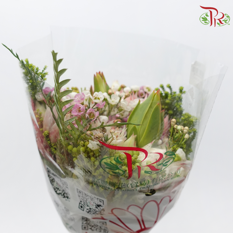 Safari Cape Cone Wax With Blushing Bride - (Per Bunch) **Random Choose Cone/Fillers-Pink-Africa-prflorist.com.my