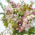 Safari Cape Cone Wax With Blushing Bride - (Per Bunch) **Random Choose Cone/Fillers-Pink-Africa-prflorist.com.my