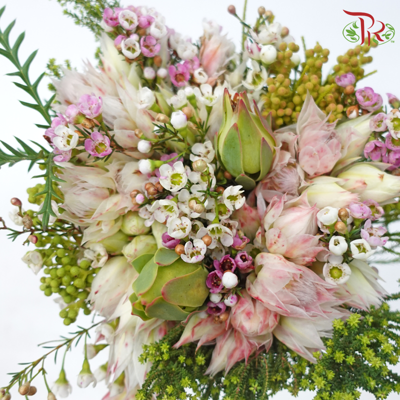 Safari Cape Cone Wax With Blushing Bride - (Per Bunch) **Random Choose Cone/Fillers-Pink-Africa-prflorist.com.my