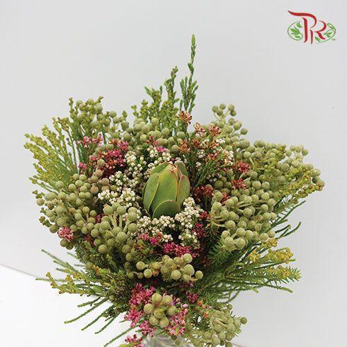 Safari Mix 1 - (Per Bunch)-Green-Africa-prflorist.com.my