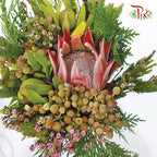 Safari Mix (Cone/Cape) - #4 (Per Bunch) **Random Choose Cone/Fillers-Green-Africa-prflorist.com.my