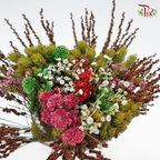 Safari Mix (Cone/Cape) - #7 (Per Bunch) **Random Choose Cone/Fillers-Green-Africa-prflorist.com.my