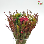 Safari Mix (Cone/Cape) - #7 (Per Bunch) **Random Choose Cone/Fillers-Green-Africa-prflorist.com.my