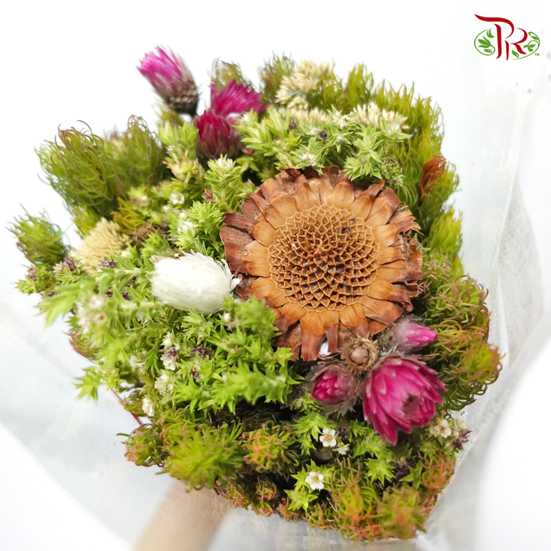 Safari Mix (Cone/Cape/Autumn Pink/ Edelkeur) - #1 (Per Bunch) **Random Choose Cone/Fillers-Pink-Africa-prflorist.com.my