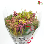 Safari Mix (Cone/Cape) Bouquet - #12 (Per Bunch) **Random Choose Cone/Fillers-Africa-prflorist.com.my