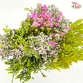 Safari Mix (Cone/Cape) Bouquet With Wax Flower (Per Bunch)-Africa-prflorist.com.my
