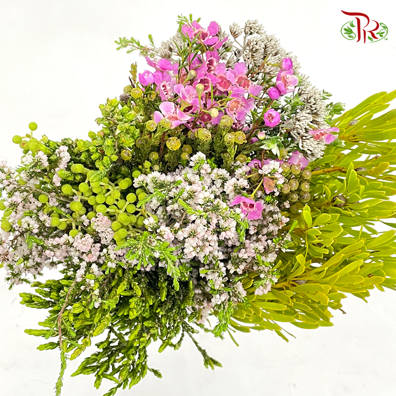 Safari Mix (Cone/Cape) Bouquet With Wax Flower (Per Bunch)-Africa-prflorist.com.my