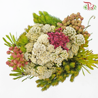 Safari Mix (Cone/Cape/River) - #3 (Per Bunch) **Random Choose Cone/Fillers-Pink-Africa-prflorist.com.my