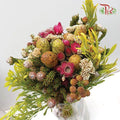 Safari Mix (Cone/Cape/River) - (Per Bunch) - 1-Pink-Africa-prflorist.com.my
