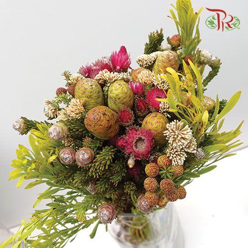 Safari Mix (Cone/Cape/River) - (Per Bunch) - 1-Pink-Africa-prflorist.com.my