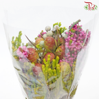 Safari Mix (Cone / Cape) - Silver Brunia With Erica (Per Bunch) **Random Choose Cone/Fillers-Africa-prflorist.com.my