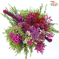 Safari Mix (Cone / Cape) - Tone Cherry Pink (Per Bunch) **Random Choose Cone/Fillers-Cherry Pink-Africa-prflorist.com.my