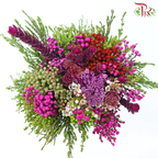Safari Mix (Cone / Cape) - Tone Cherry Pink (Per Bunch) **Random Choose Cone/Fillers-Cherry Pink-Africa-prflorist.com.my