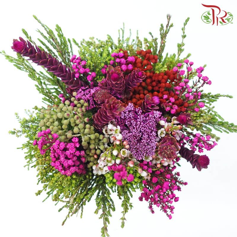 Safari Mix (Cone / Cape) - Tone Cherry Pink (Per Bunch) **Random Choose Cone/Fillers-Cherry Pink-Africa-prflorist.com.my