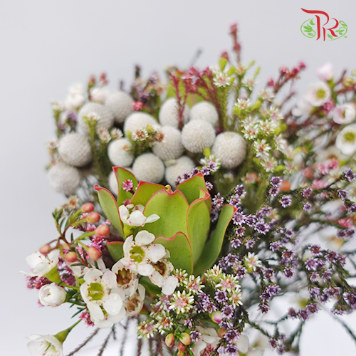 Safari Mix Random - (Cone/Cape/Wax)-White-Africa-prflorist.com.my