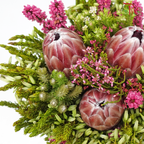 Safari Premium Bouquet - #16 (Per Bunch) **Random Cone/Fillers-Africa-prflorist.com.my