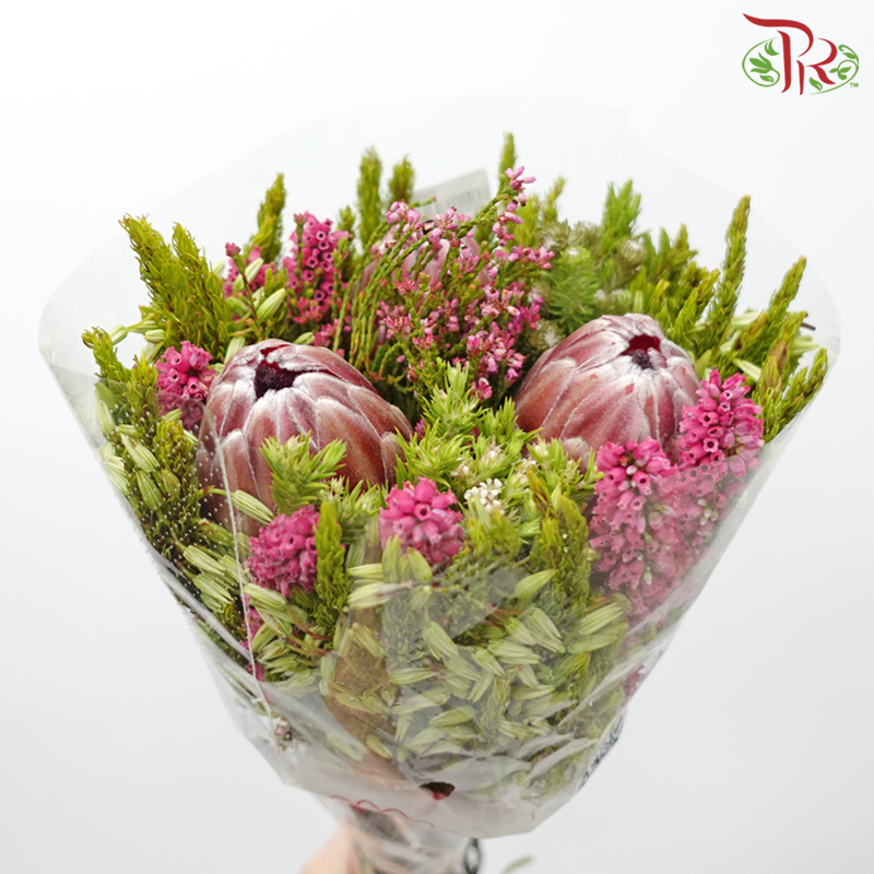 Safari Premium Bouquet ( Christmas Edition ) **Random Cone/Fillers