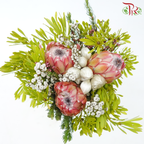 Safari Premium Bouquet - #18 (Per Bunch) **Random Cone/Fillers-Africa-prflorist.com.my