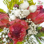 Safari Premium Bouquet - #19 (Per Bunch) ** Random Choose Cones / Fillers-Africa-prflorist.com.my