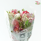 Safari Premium Bouquet - #23 (Pin Carousel / Hybrid)(Per Bunch) **Random Cone/Fillers-Africa-prflorist.com.my
