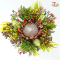 Safari Premium Bouquet - #24 (Pin Carousel / Hybrid)(Per Bunch) **Random Cone/Fillers-Africa-prflorist.com.my