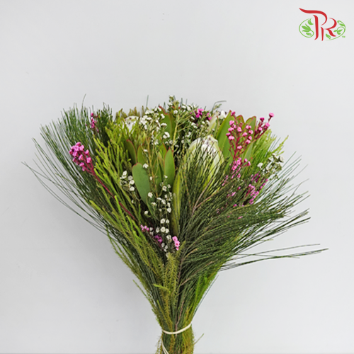 Safari Premium Bouquet ( Christmas Edition ) **Random Cone/Fillers