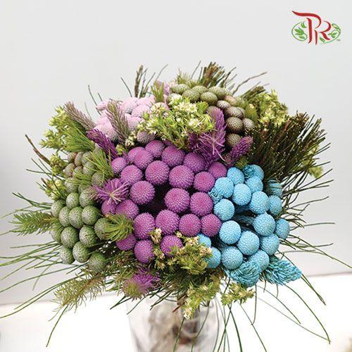 Safari Premium Bouquet - Albiflora Pastel **Random Cone/Fillers-Africa-prflorist.com.my