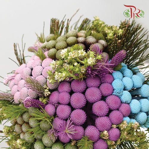 Safari Premium Bouquet - Albiflora Pastel **Random Cone/Fillers-Africa-prflorist.com.my