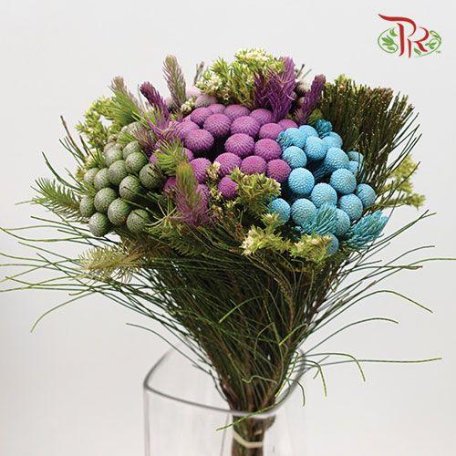 Safari Premium Bouquet - Albiflora Pastel **Random Cone/Fillers-Africa-prflorist.com.my