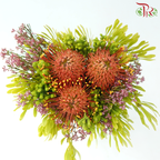 Safari Premium Bouquet **Random Cone/Fillers