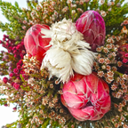 Safari Premium Bouquet - Pin Carousel / Hybrid #26 (Per Bunch) **Random Cone/Fillers-Africa-prflorist.com.my