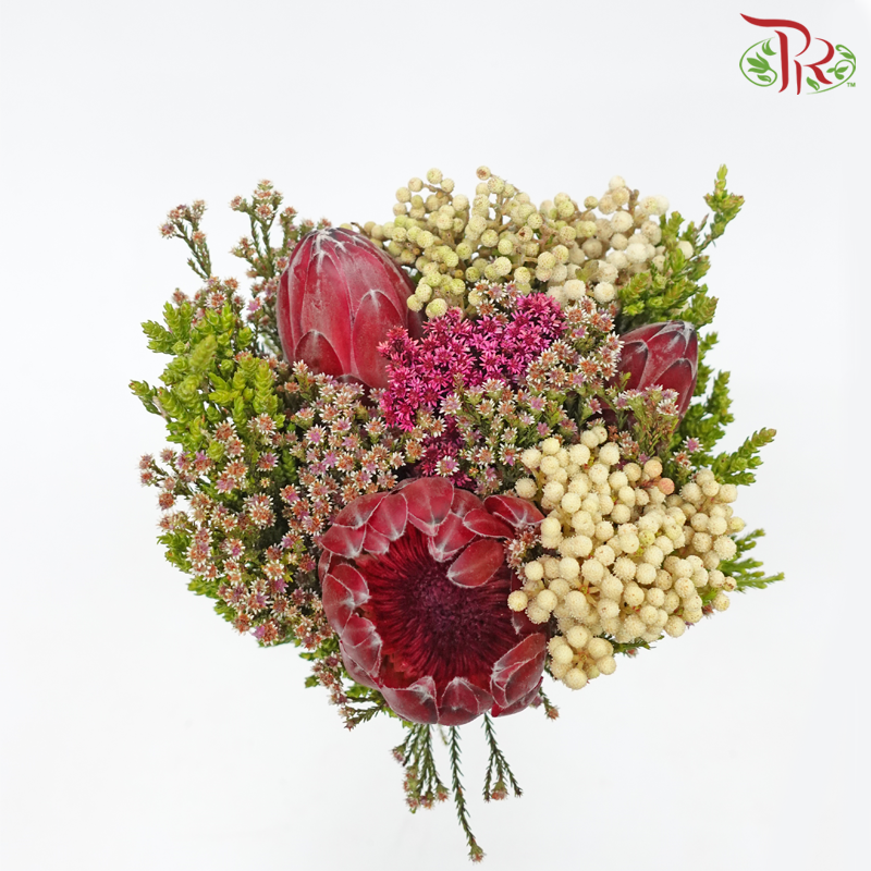 Safari Premium Bouquet Protea With Lanu - (Per Bunch) **Random Cone/Fillers-Africa-prflorist.com.my