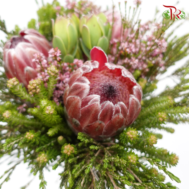 Safari Premium Bouquet With Protea - 14 (Per Bunch)-Pink-Africa-prflorist.com.my