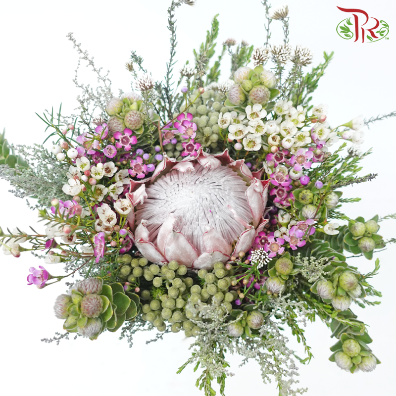 Safari Protea King Bouquet - (Per Bunch) **Random Cone/Fillers-Africa-prflorist.com.my