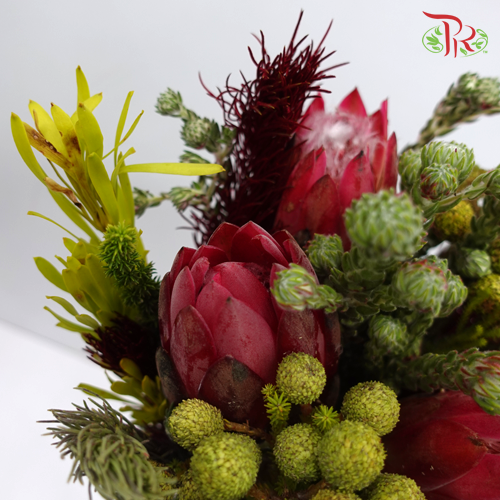 Safari River Mix - #2 (Per Bunch) **Random Cone/Fillers-Pink-Africa-prflorist.com.my