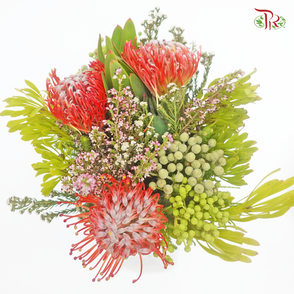Safari Premium Bouquet - 10 (Per Bunch) - Pudu Ria Florist