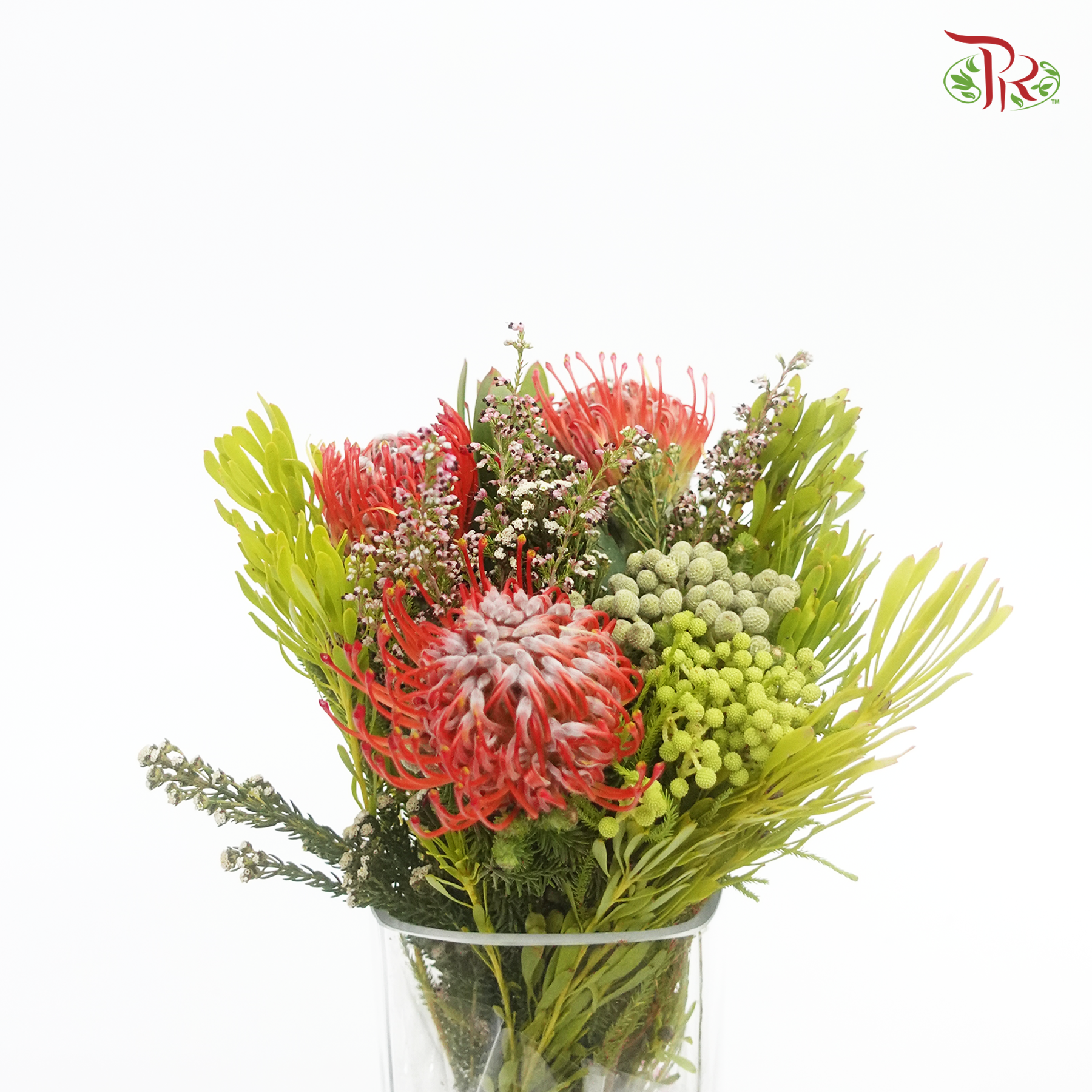 Safari Premium Bouquet - 10 (Per Bunch) - Pudu Ria Florist