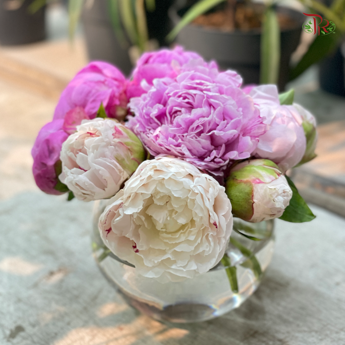 Special Seasonal Flower- Peony Arrangement In Small Fish Ball Vase-China-prflorist.com.my