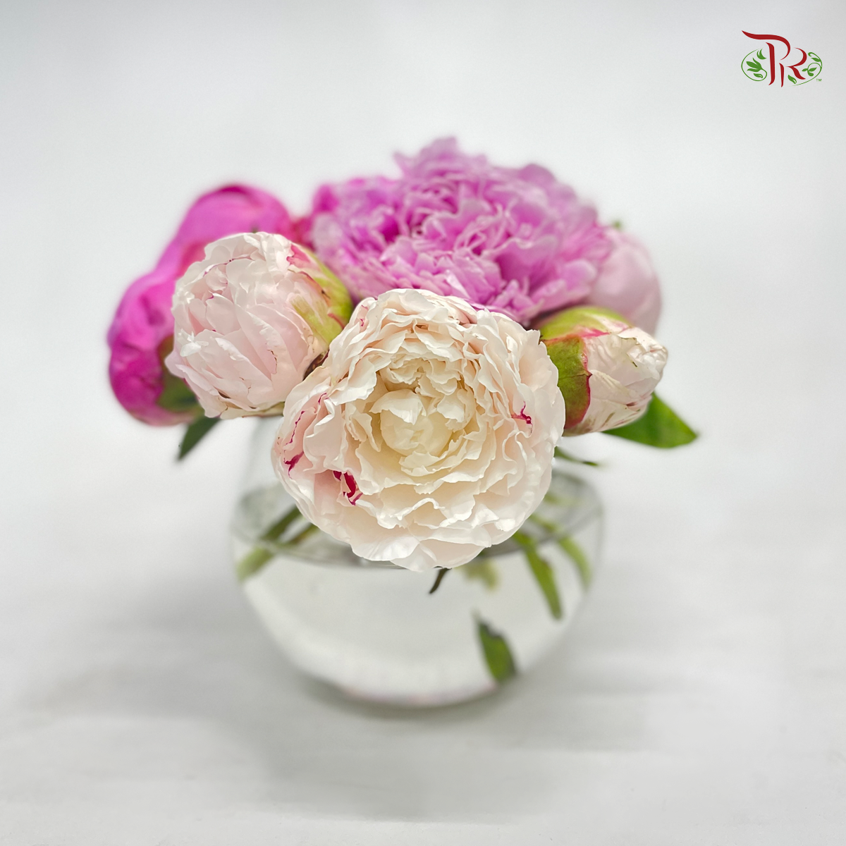 Special Seasonal Flower- Peony Arrangement In Small Fish Ball Vase-China-prflorist.com.my
