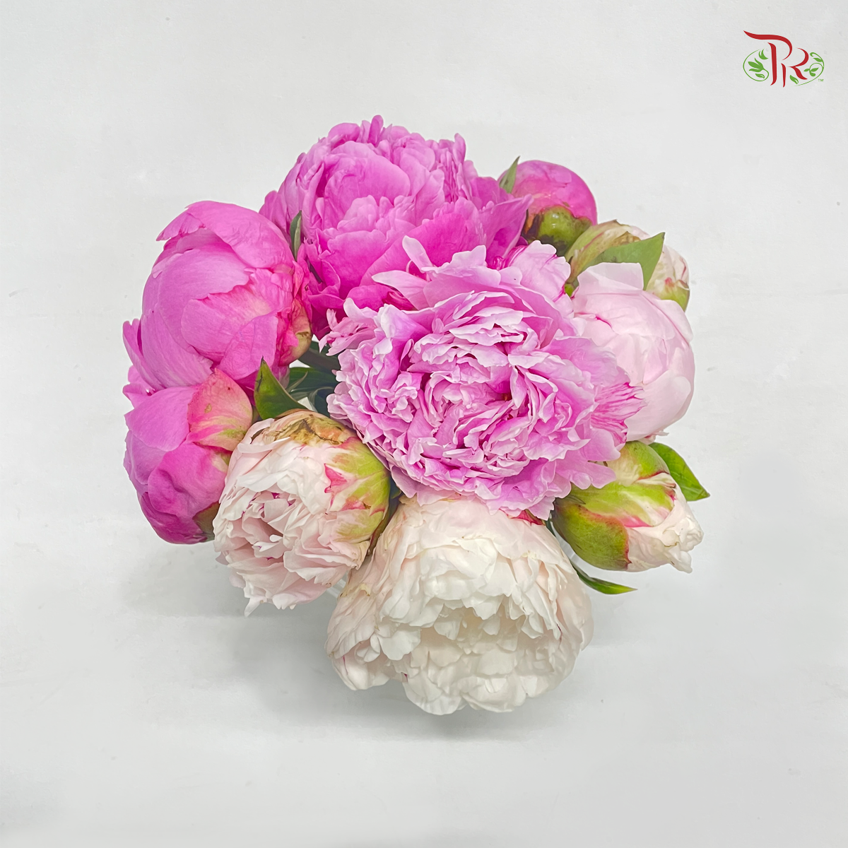 Special Seasonal Flower- Peony Arrangement In Small Fish Ball Vase-China-prflorist.com.my