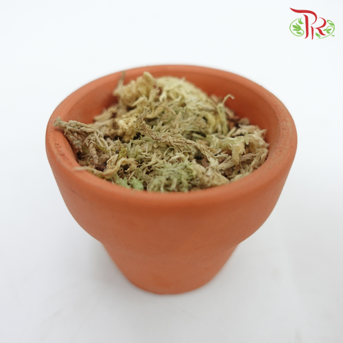Sphagnum moss-Pudu Ria Florist-prflorist.com.my