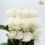 Star Rose - Vendela (10 Stems)-Cream-Ecd-prflorist.com.my