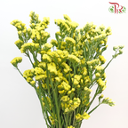 Statice - Dark Yellow (Per Bunch)-Yellow-Malaysia-prflorist.com.my