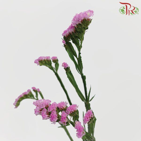 Statice - Light Pink (Per Bunch)-Pink-Malaysia-prflorist.com.my