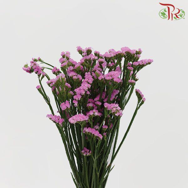Statice - Light Pink (Per Bunch)-Pink-Malaysia-prflorist.com.my