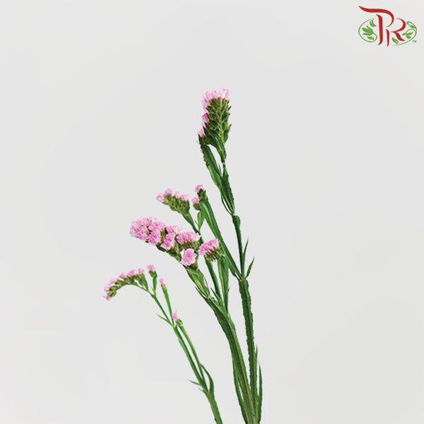 Statice - Light Pink (Per Bunch)-Pink-Malaysia-prflorist.com.my