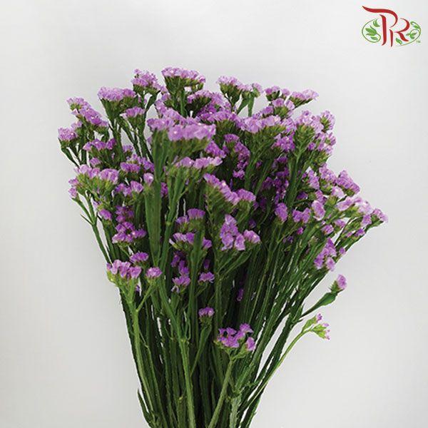 Statice - Light Purple (Per Bunch)-Purple-Malaysia-prflorist.com.my