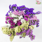 Statice - Random Mix Colour (350 Gram Per Bundle)-China-prflorist.com.my